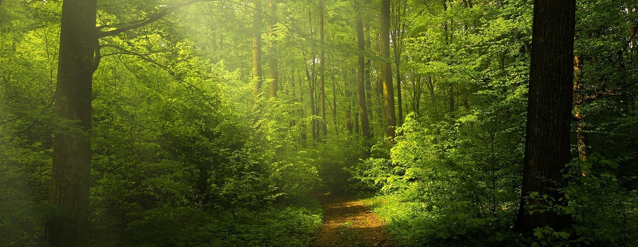 Climate Witness: Let Our Actions Speak! Thread Gathering